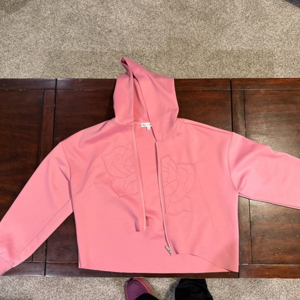 Adyson Parker Pink Casual Dress & Hoodie